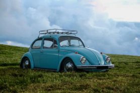 Blue VW Beetle parked in the grass