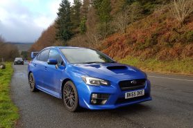 Subaru siblings